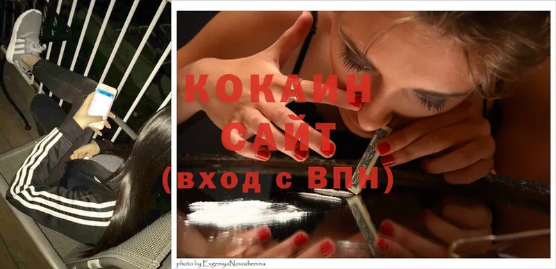 Cocaine Fish Scale  нарко площадка клад  Кизляр 